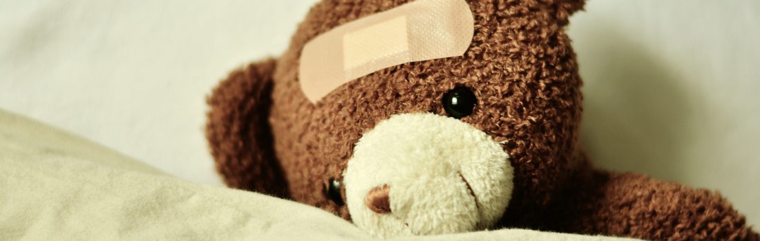 teddy 3183563 - Mütterzentrum e.V. Leipzig