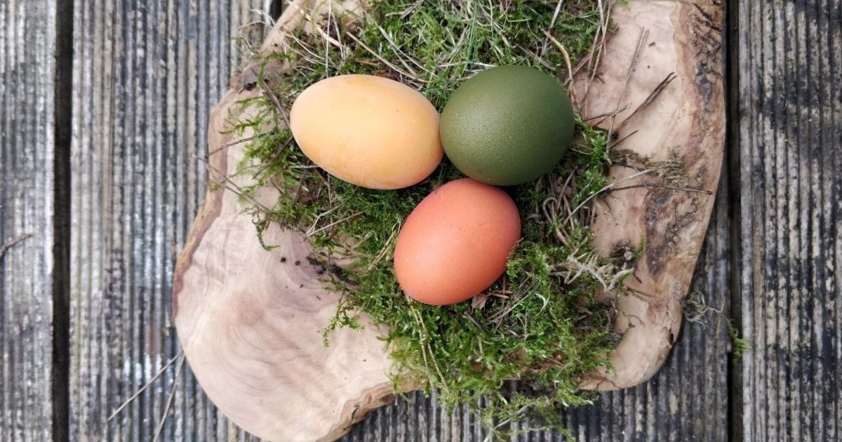ostern - Mütterzentrum e.V. Leipzig